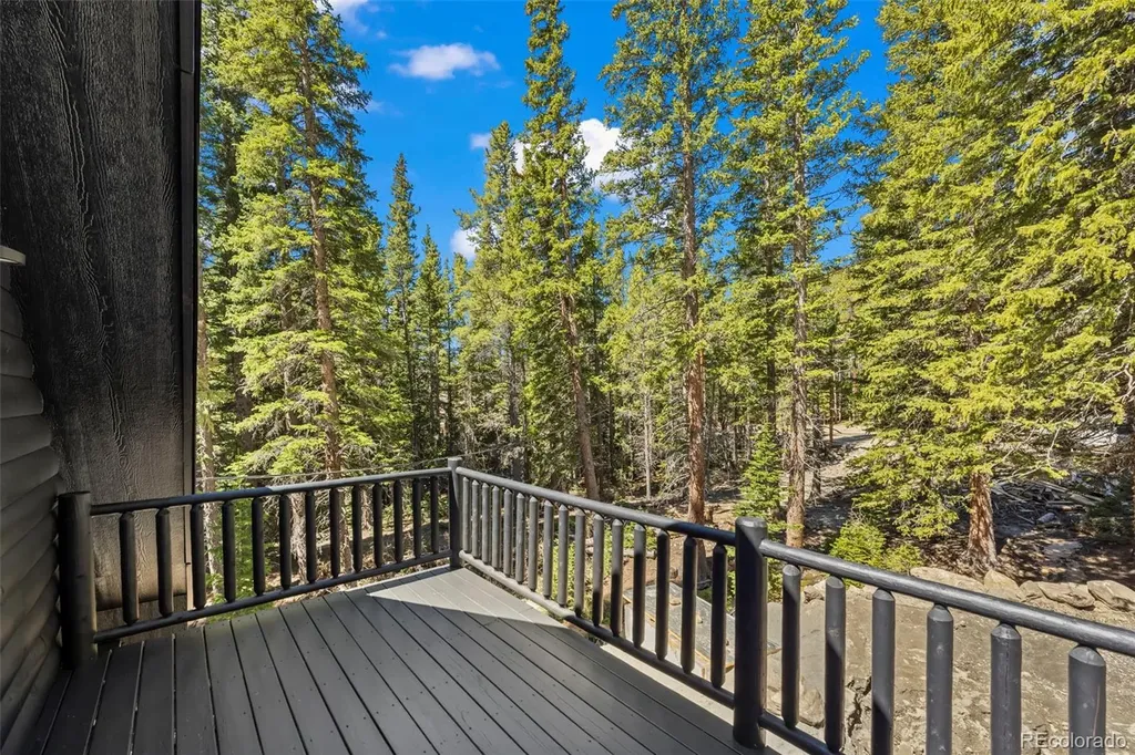 46 Silver Creek Road Idaho Springs CO 80452