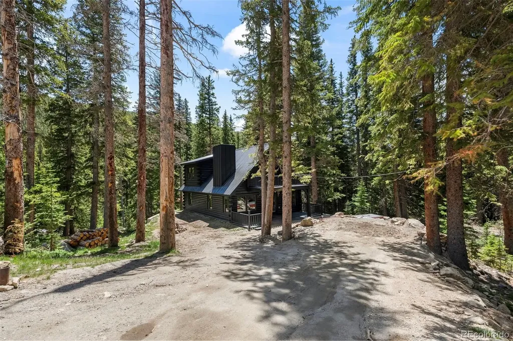 46 Silver Creek Road Idaho Springs CO 80452