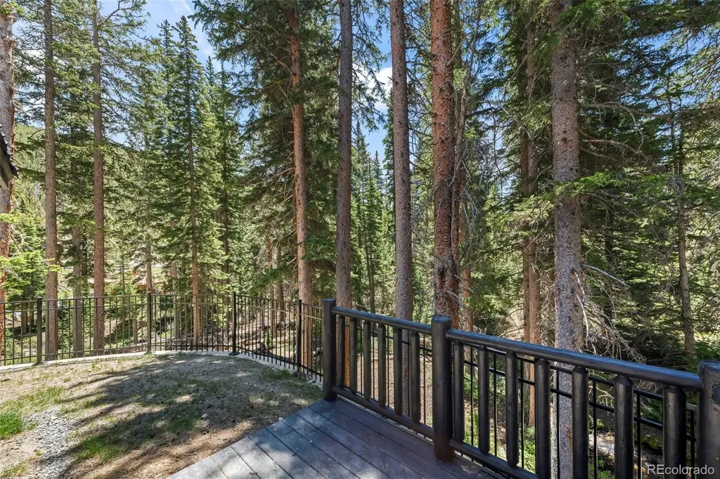 46 Silver Creek Road Idaho Springs CO 80452