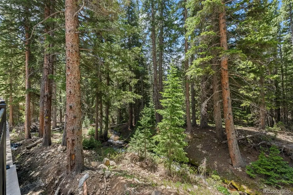 46 Silver Creek Road Idaho Springs CO 80452