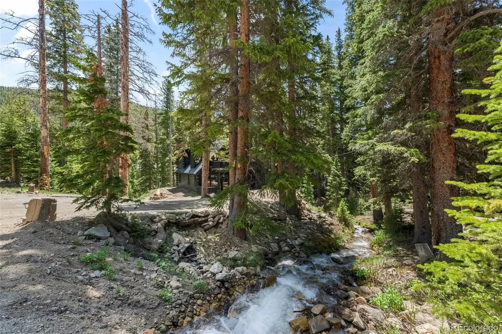 46 Silver Creek Road Idaho Springs CO 80452