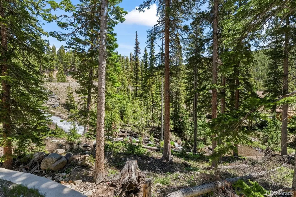 46 Silver Creek Road Idaho Springs CO 80452