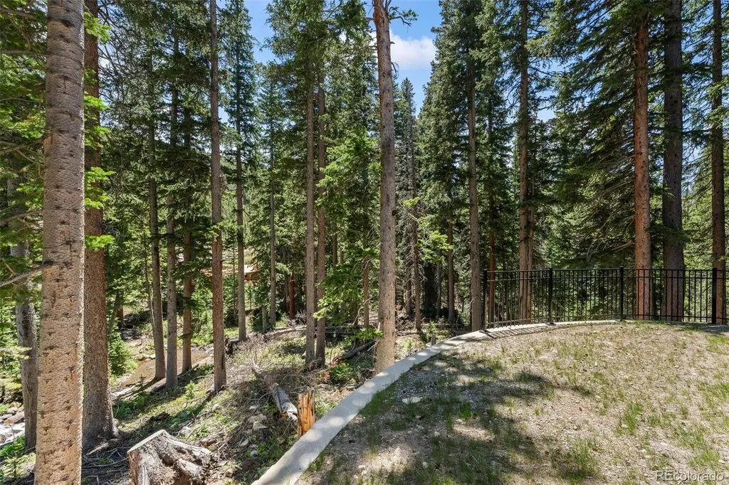 46 Silver Creek Road Idaho Springs CO 80452
