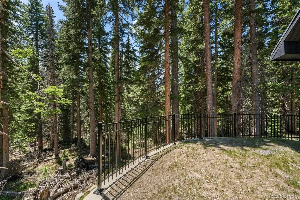 46 Silver Creek Road Idaho Springs CO 80452
