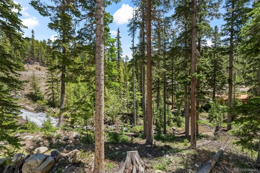 46 Silver Creek Road Idaho Springs CO 80452