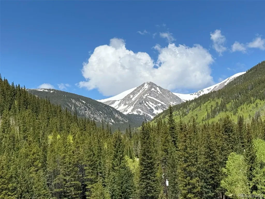 46 Silver Creek Road Idaho Springs CO 80452