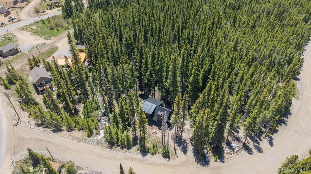 46 Silver Creek Road Idaho Springs CO 80452