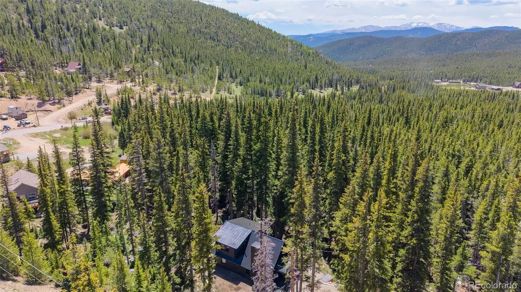 46 Silver Creek Road Idaho Springs CO 80452