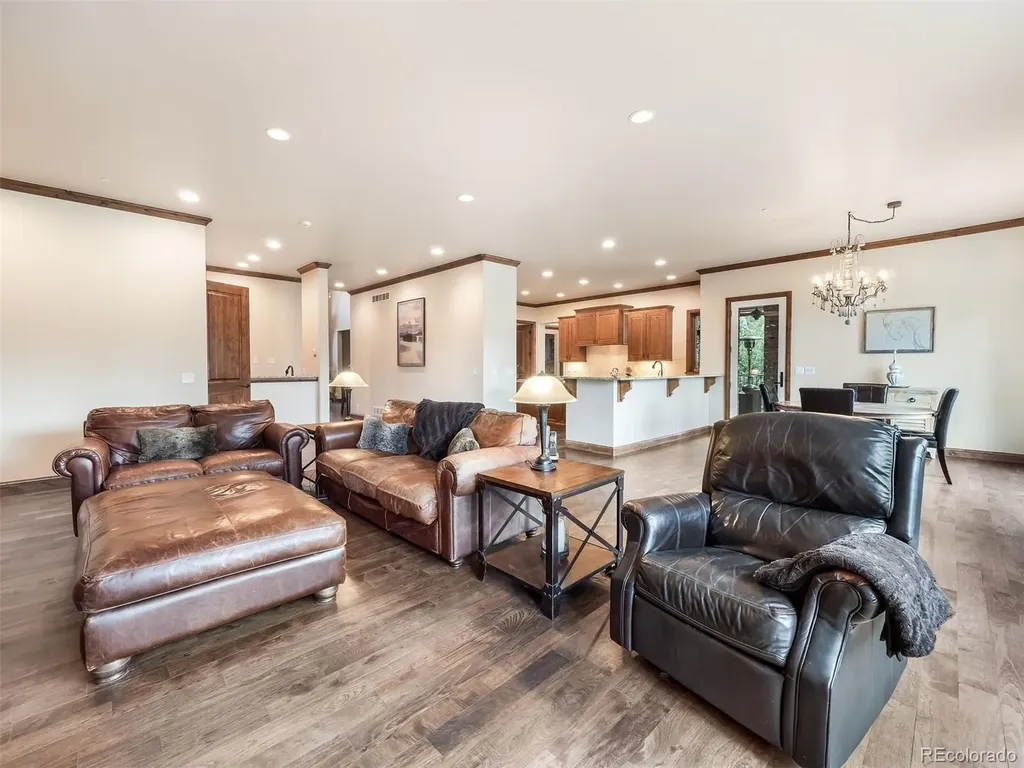 202 Saratoga Vein Court Castle Rock CO 80108