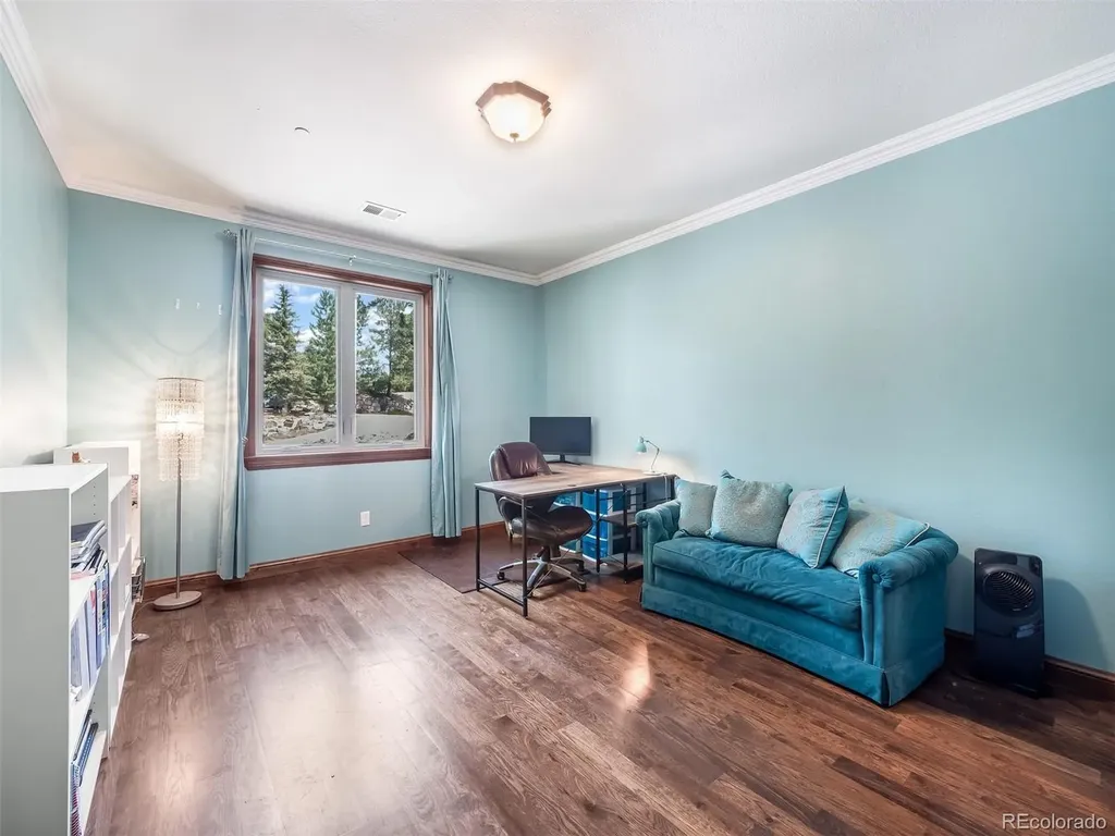 202 Saratoga Vein Court Castle Rock CO 80108