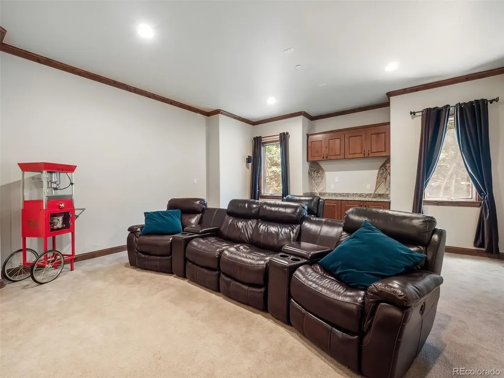 202 Saratoga Vein Court Castle Rock CO 80108