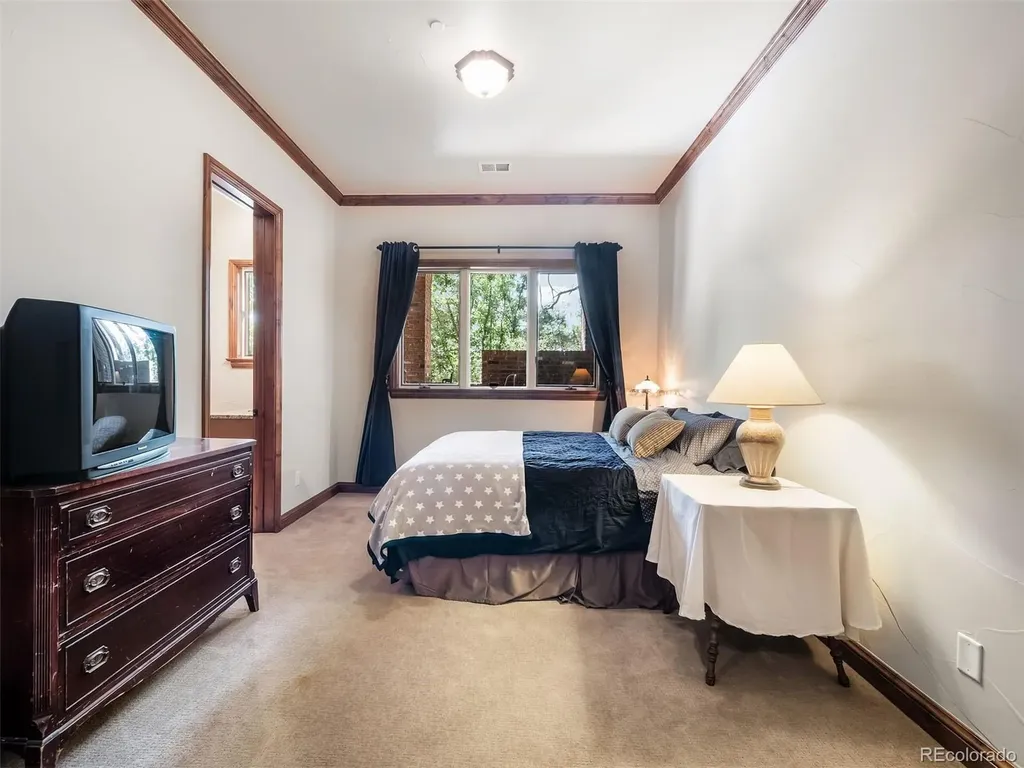 202 Saratoga Vein Court Castle Rock CO 80108