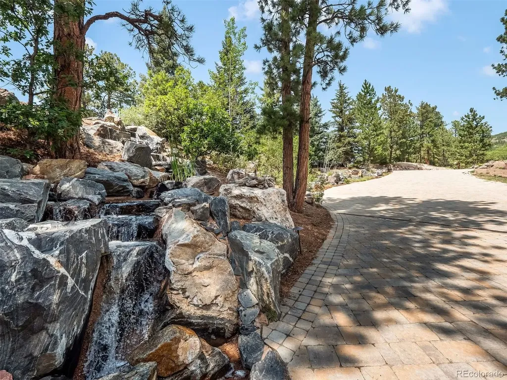 202 Saratoga Vein Court Castle Rock CO 80108