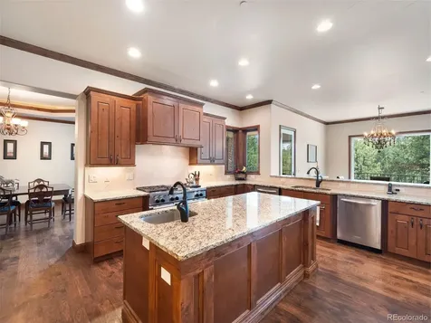 202 Saratoga Vein Court Castle Rock CO 80108