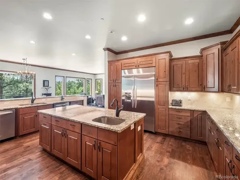 202 Saratoga Vein Court Castle Rock CO 80108