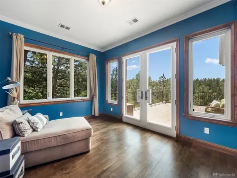 202 Saratoga Vein Court Castle Rock CO 80108