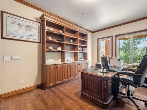202 Saratoga Vein Court Castle Rock CO 80108