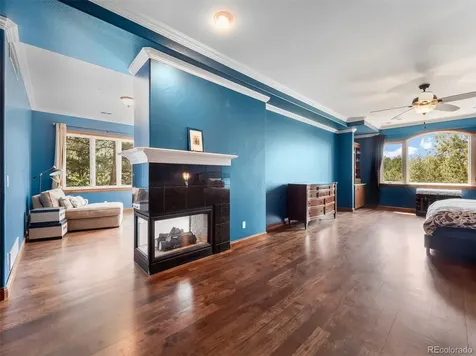 202 Saratoga Vein Court Castle Rock CO 80108
