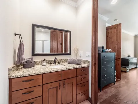 202 Saratoga Vein Court Castle Rock CO 80108