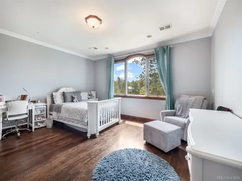 202 Saratoga Vein Court Castle Rock CO 80108