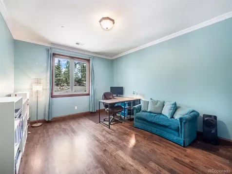202 Saratoga Vein Court Castle Rock CO 80108