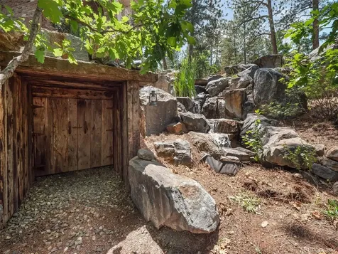 202 Saratoga Vein Court Castle Rock CO 80108