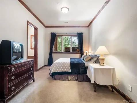 202 Saratoga Vein Court Castle Rock CO 80108