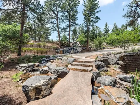 202 Saratoga Vein Court Castle Rock CO 80108