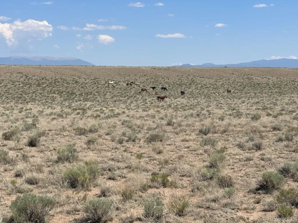 11 Leo Road San Luis CO 81152