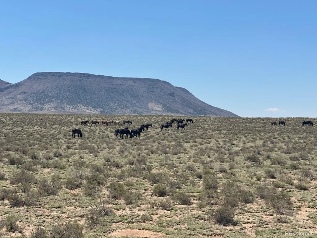 11 Leo Road San Luis CO 81152
