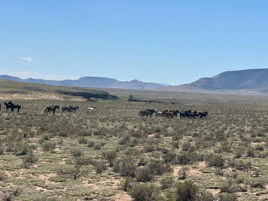 11 Leo Road San Luis CO 81152