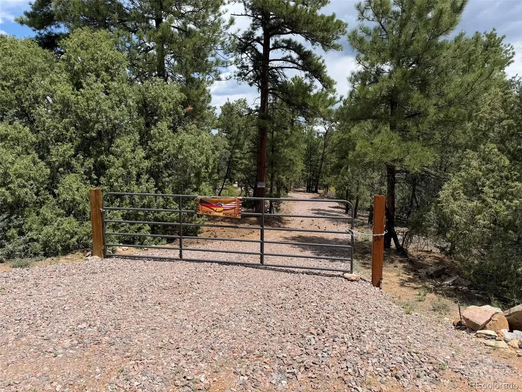 165 Mosswood Drive Cotopaxi CO 81223