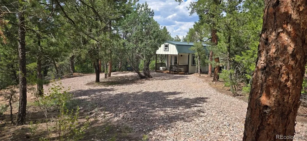 165 Mosswood Drive Cotopaxi CO 81223