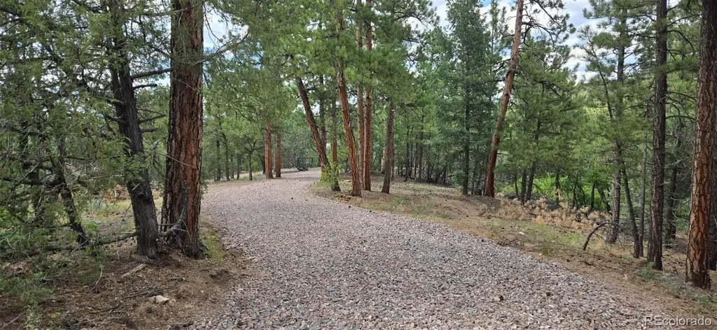 165 Mosswood Drive Cotopaxi CO 81223