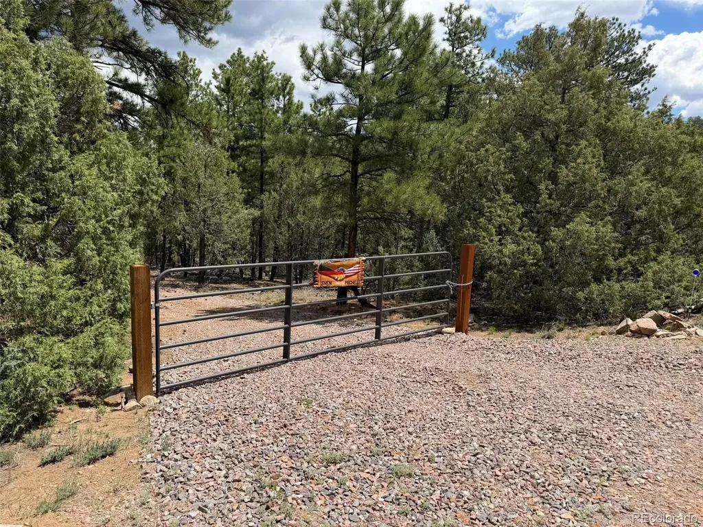 165 Mosswood Drive Cotopaxi CO 81223