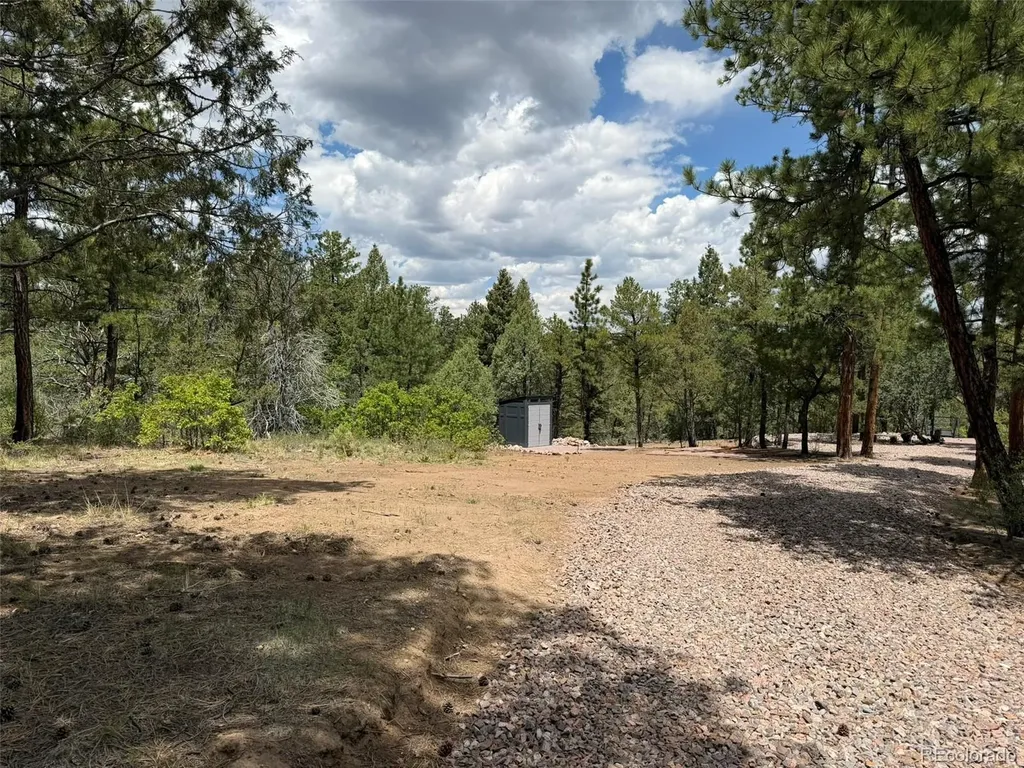 165 Mosswood Drive Cotopaxi CO 81223