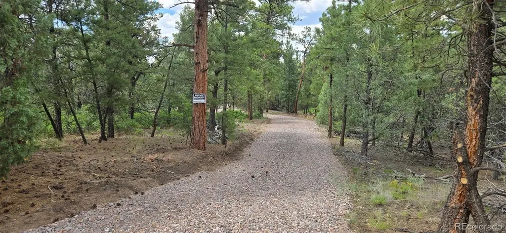165 Mosswood Drive Cotopaxi CO 81223