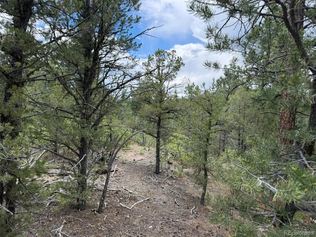 165 Mosswood Drive Cotopaxi CO 81223