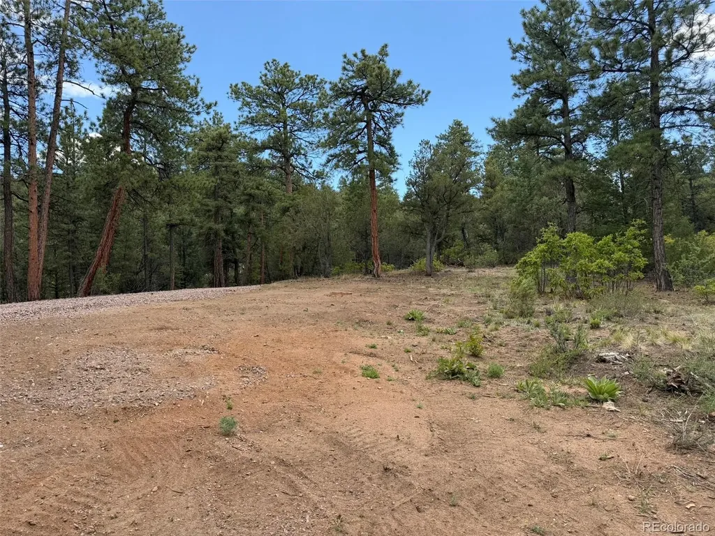 165 Mosswood Drive Cotopaxi CO 81223