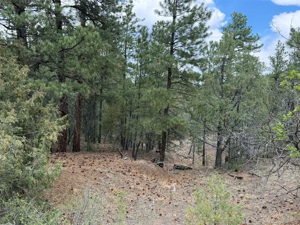 165 Mosswood Drive Cotopaxi CO 81223