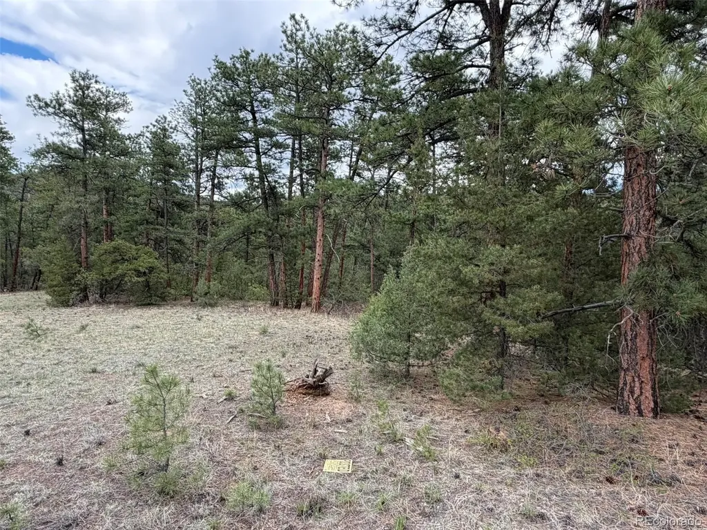 165 Mosswood Drive Cotopaxi CO 81223
