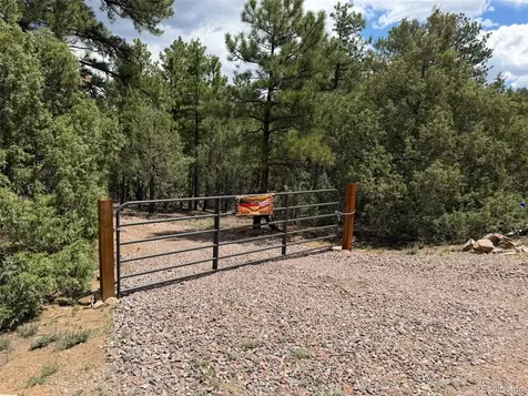 165 Mosswood Drive Cotopaxi CO 81223