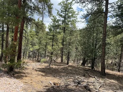 165 Mosswood Drive Cotopaxi CO 81223