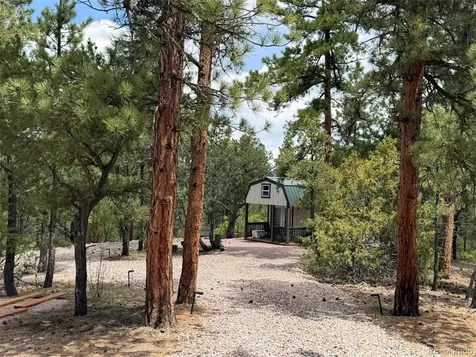 165 Mosswood Drive Cotopaxi CO 81223