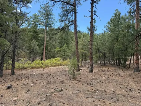 165 Mosswood Drive Cotopaxi CO 81223