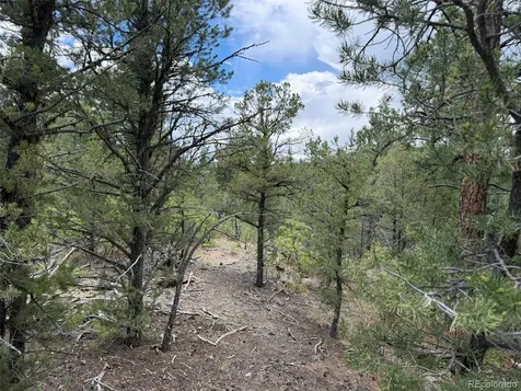 165 Mosswood Drive Cotopaxi CO 81223
