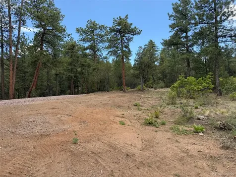 165 Mosswood Drive Cotopaxi CO 81223