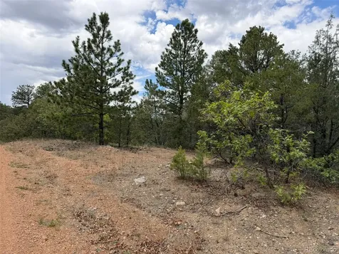 165 Mosswood Drive Cotopaxi CO 81223