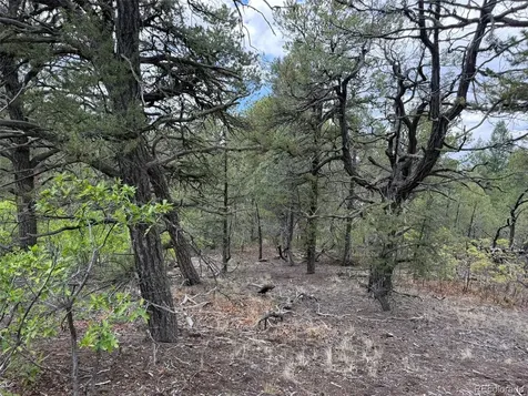 165 Mosswood Drive Cotopaxi CO 81223