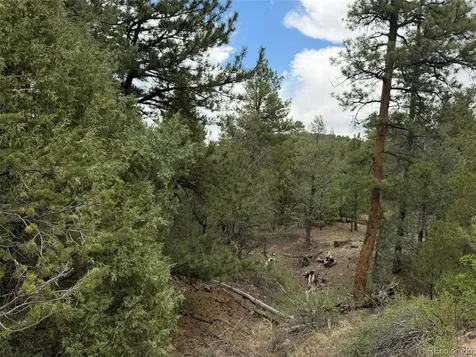 165 Mosswood Drive Cotopaxi CO 81223
